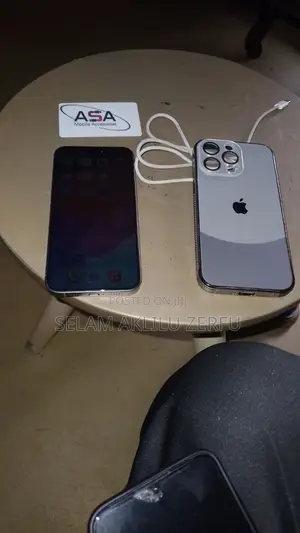 Apple iPhone 15 Pro Max 256 GB Silver