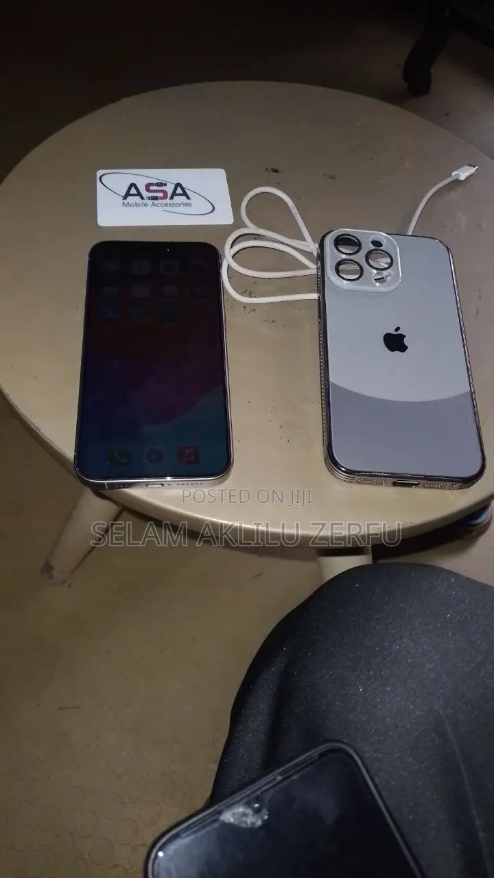 Apple iPhone 15 Pro Max 256 GB Silver