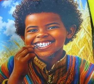 የትራስ ልብስ የቤት ማስዋቢያ