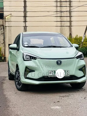 New Changan BenBen E-Star 2023 Brown
