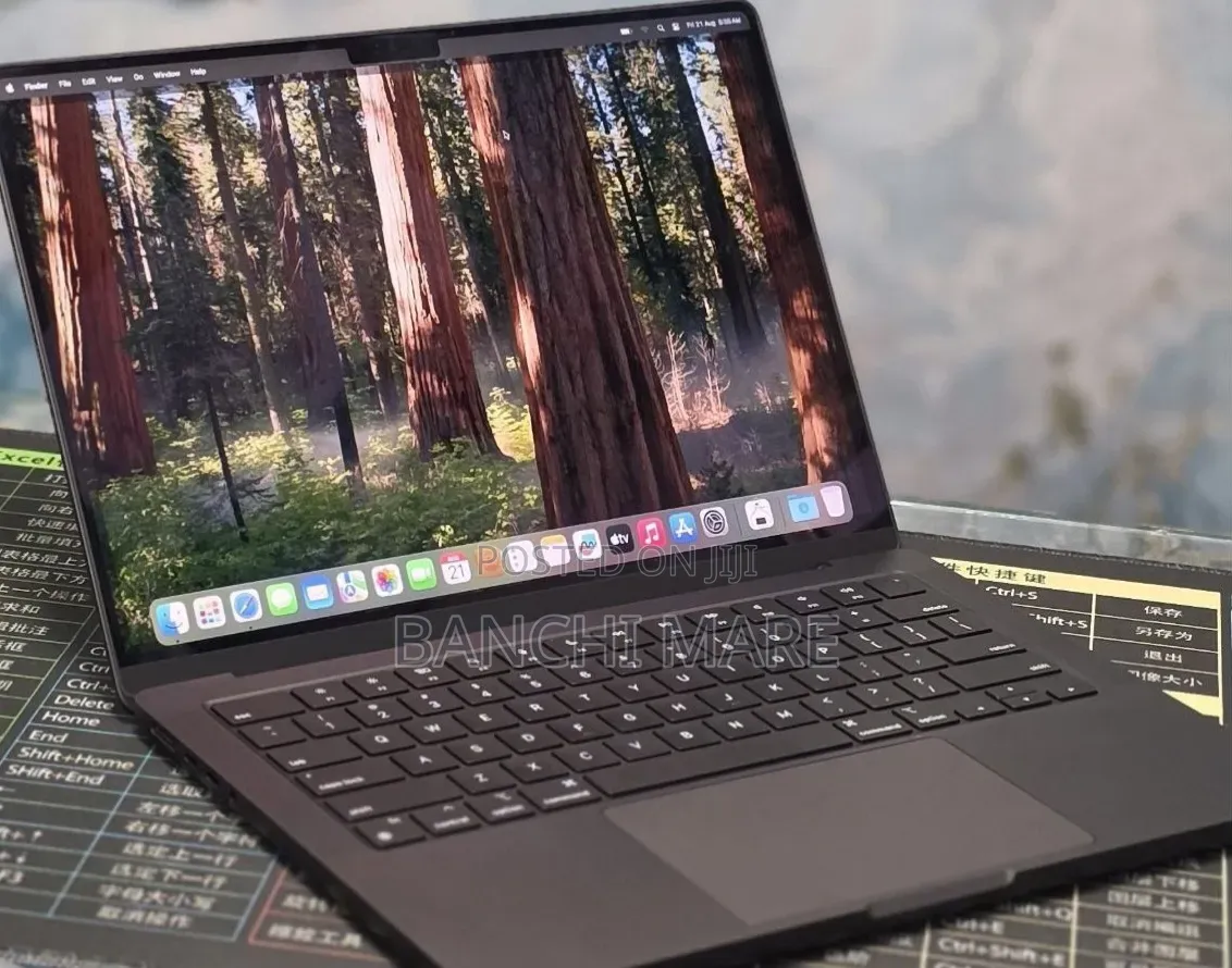 New Laptop Apple MacBook Pro 2024 M4 16GB Apple M4 SSD 512GB