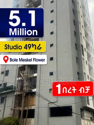 Furnished 1bdrm Apartment in Compass Propertiess, Nifas Silk-Lafto