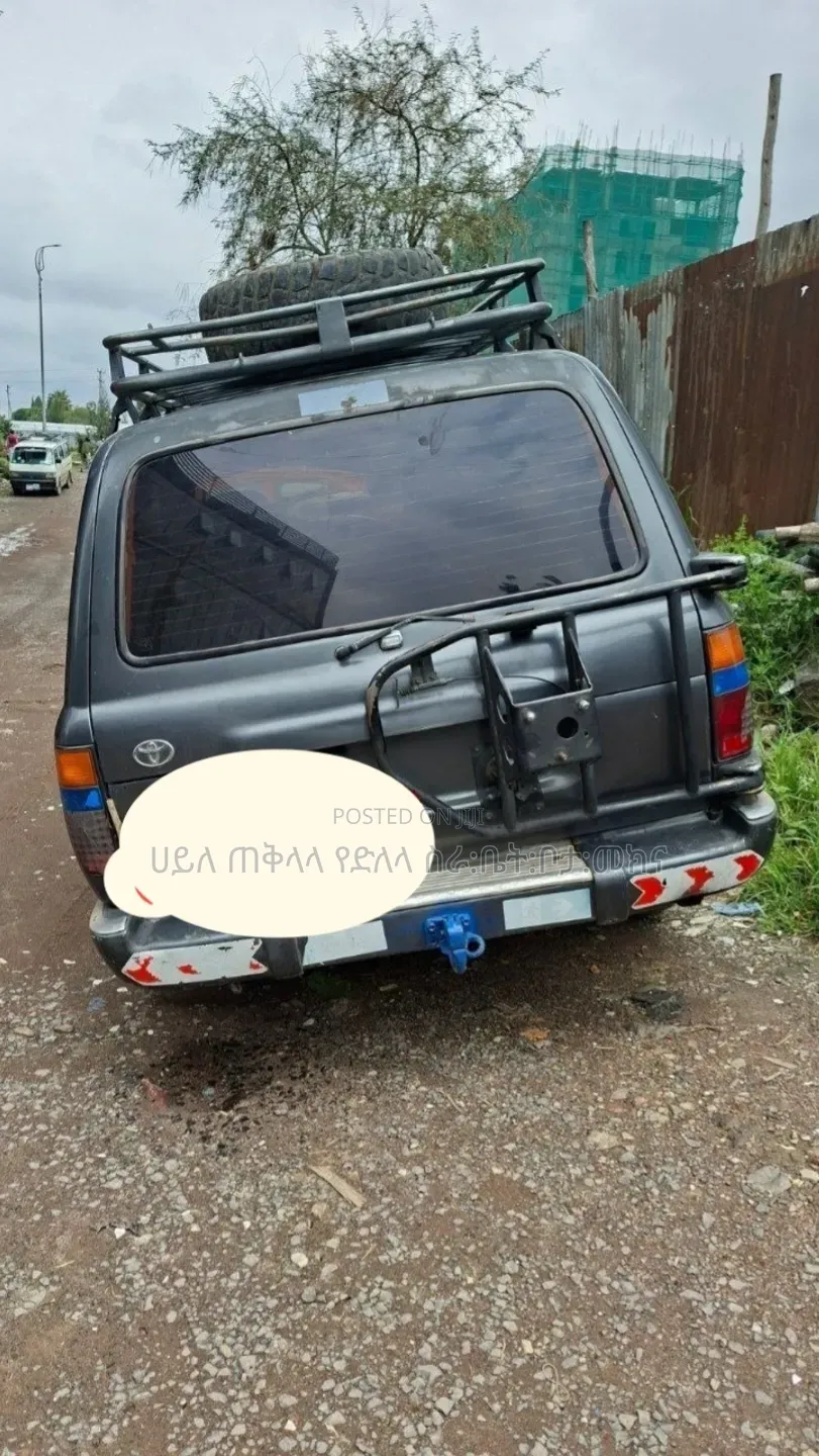 Toyota Land Cruiser 1996 Gray
