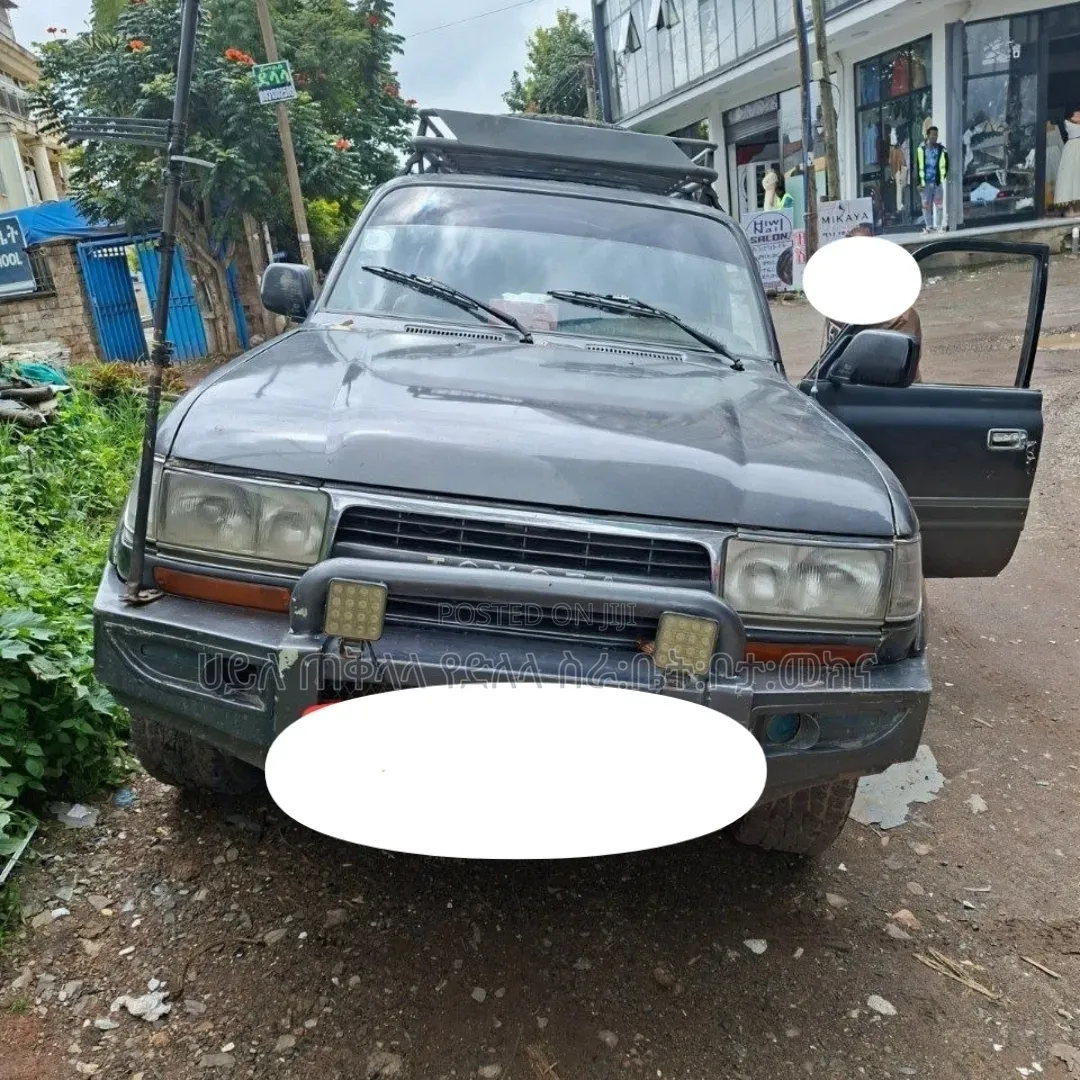Toyota Land Cruiser 1996 Gray