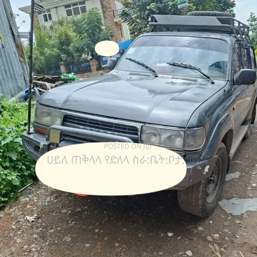 Toyota Land Cruiser 1996 Gray