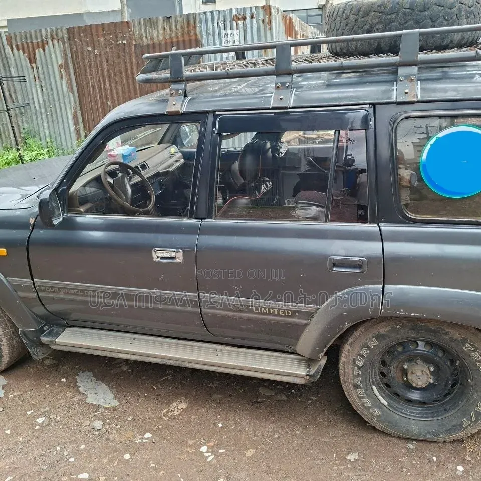 Toyota Land Cruiser 1996 Gray