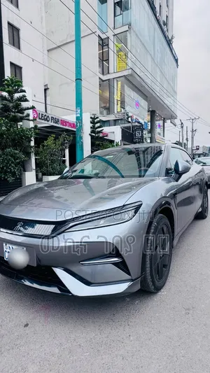 BYD Song L DM-i 2024 Gray