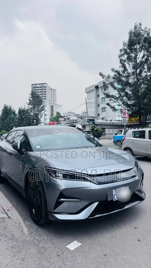 BYD Song L DM-i 2024 Gray