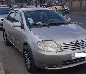 Toyota Corolla 2003 Gray