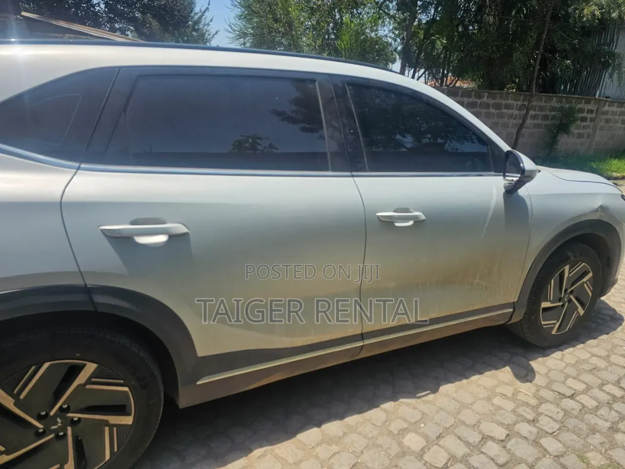 Wulling Starlight Rent