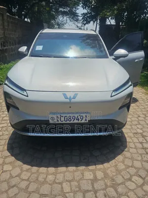 Wulling Starlight Rent