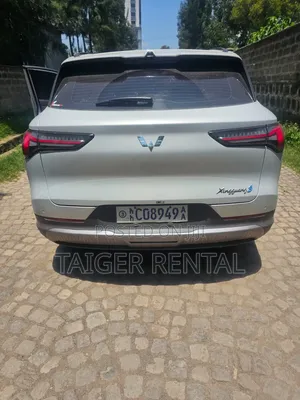 Wulling Starlight Rent