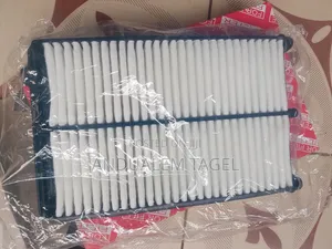 Engine Air Filter