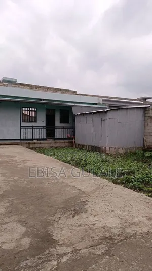 Furnished 3bdrm Farm House in Oromia-Finfinne for rent