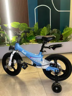 Bicycle SOFI With Free Delivery