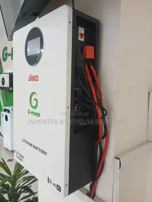 Inverter and Lithium Battery (Gpower Solar)