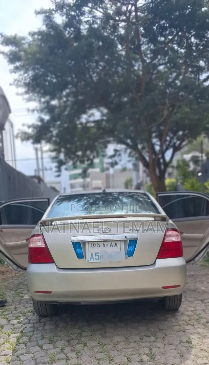 Toyota Corolla 2006 Brown