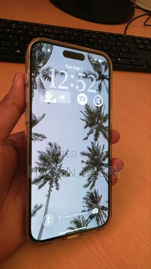 Apple iPhone 15 Pro Max 256 GB Gray