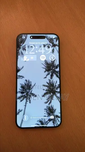 Apple iPhone 15 Pro Max 256 GB Gray