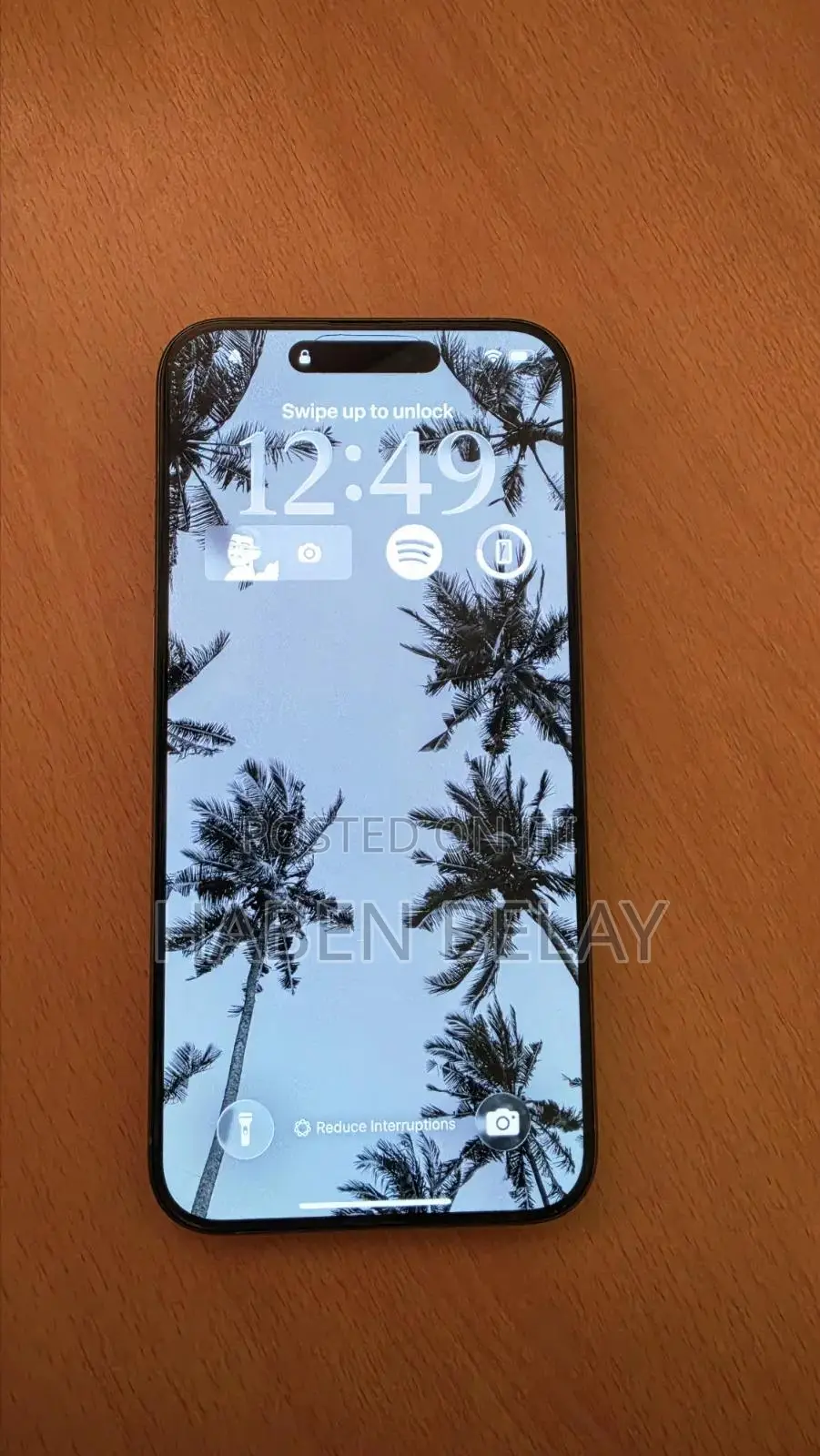 Apple iPhone 15 Pro Max 256 GB Gray