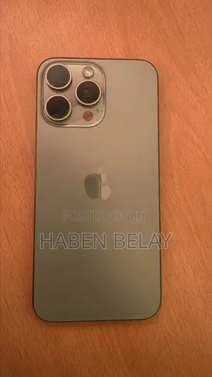 Apple iPhone 15 Pro Max 256 GB Gray