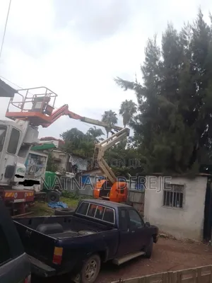 Self Propelled Telescopic Boom Lift