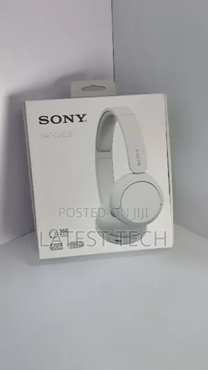 Sony Wh Ch520