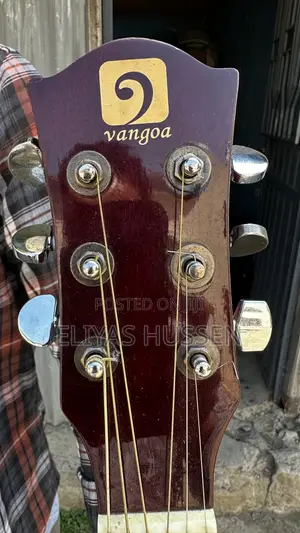 Vangoa Semi Acoistic Guitar