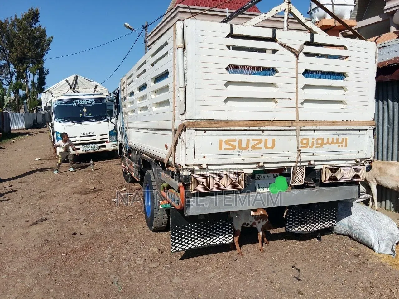 ምርጥ Isuzu በጥሩ ዋጋ