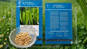 Bakker Brothers F1 Vigro Hybrid Hot Pepper Seeds