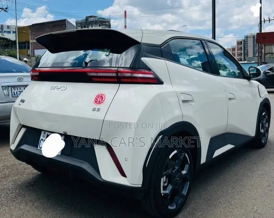 BYD Seagull 2025 Gray