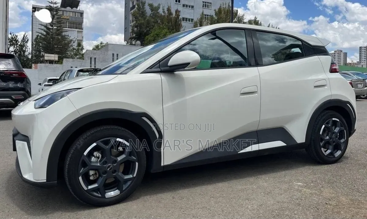 BYD Seagull 2025 Gray