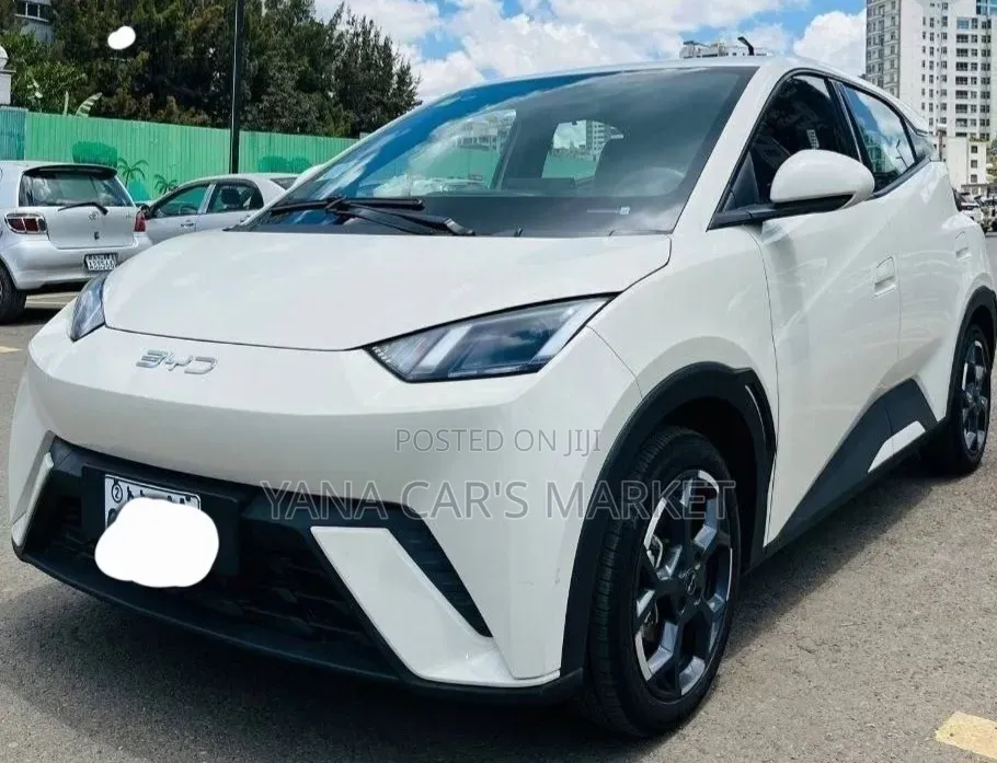 BYD Seagull 2025 Gray