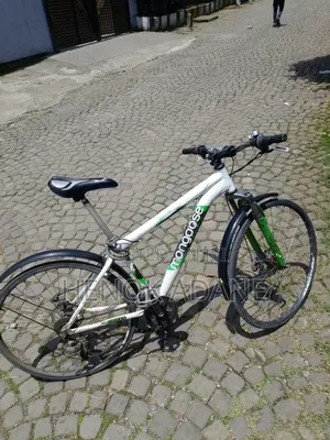 Aluminum Mongoose Bike