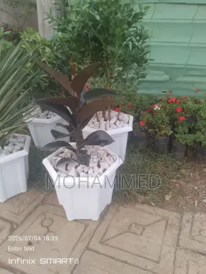 የተፈጥ አበባ መሸጥና መትከል