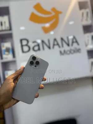 Apple iPhone 15 Pro Max 256 GB Silver