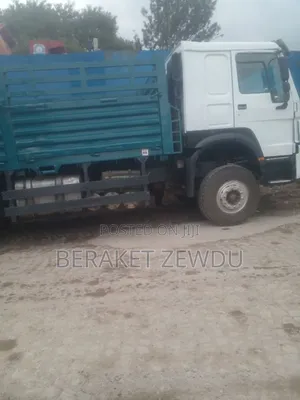 Sino Casoni Truck