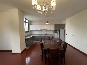Furnished 3bdrm Apartment in Bole for rent