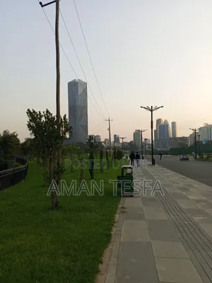 4bdrm Apartment in አሚባራ, Arada for sale