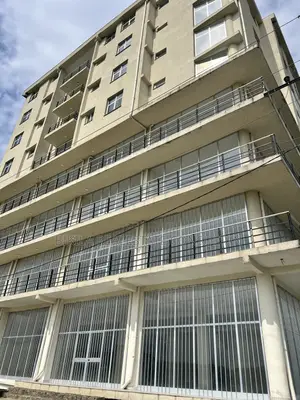 Furnished 2bdrm Apartment in Masero Realestate, Bole for sale