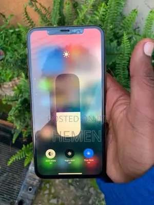 Apple iPhone XS Max 64 GB Gold