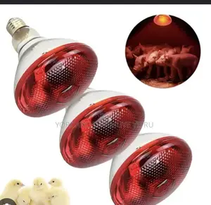 Infrared Lamp China