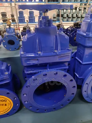 ,Flanged Gate Valve / Sluice Valve)