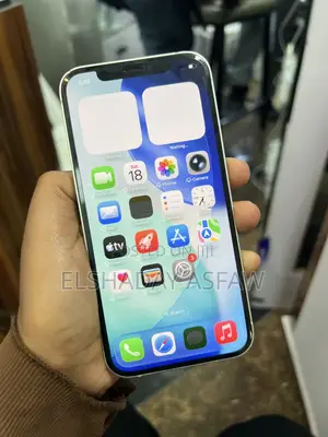 Apple iPhone 12 128 GB Gray