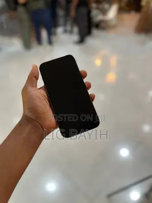 Apple iPhone 16 Pro Max 256 GB Silver