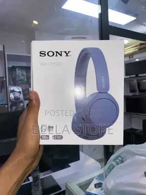 Sony Headset