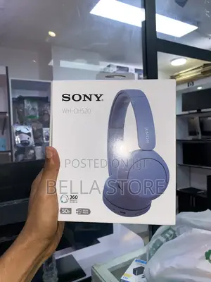 Sony Headset
