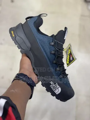The North-Face Gore-Tex Hiker Shoes