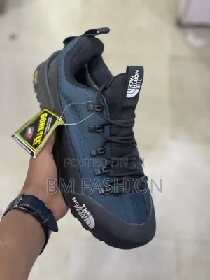 The North-Face Gore-Tex Hiker Shoes