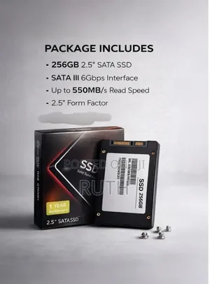2.5 Inch SATA SSD 256GB Internal Solid State Drive for Windows